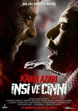 KabirAzabiInsiveCinni海报