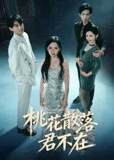 我下跪感谢小三替我怀孕（桃花散落君不在海报