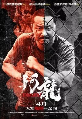 再见阿龙海报