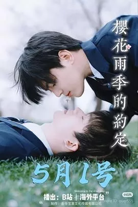 樱花雨季的约定海报