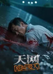 天网危险爱人海报