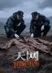 天网旧案寻凶海报