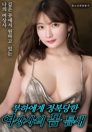 女上司的欲望裂缝海报