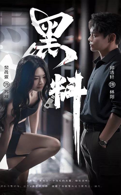 黑料（紫雾之下海报