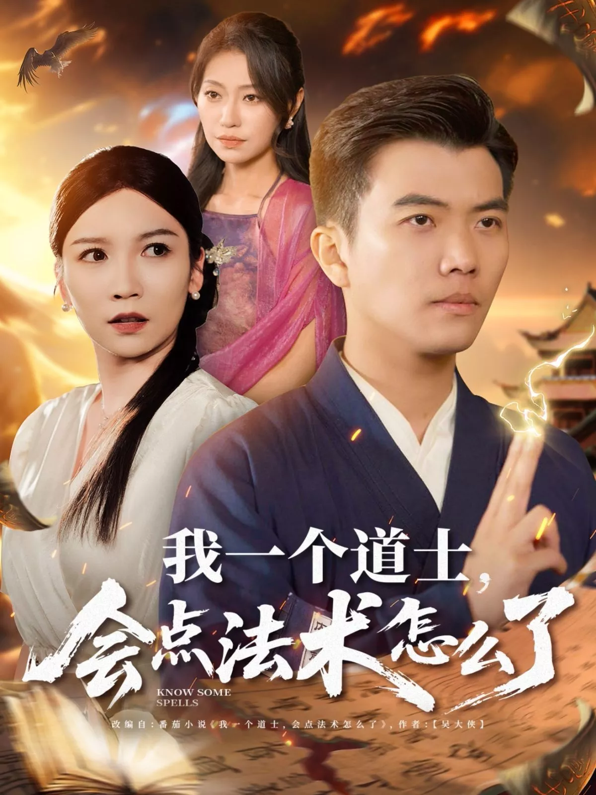 我一个道士会点法术怎么了海报