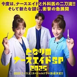 隔壁的护士助理特别篇海报