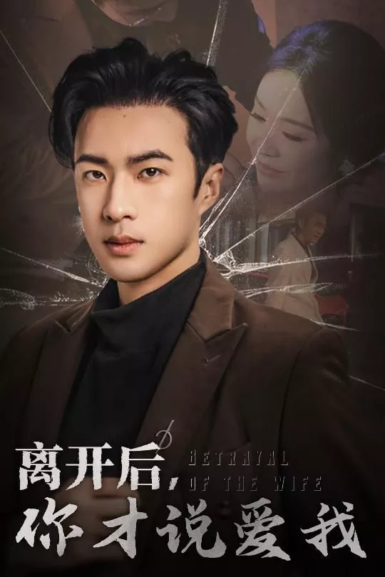 离开后你才说爱我（心如枯木难逢春海报