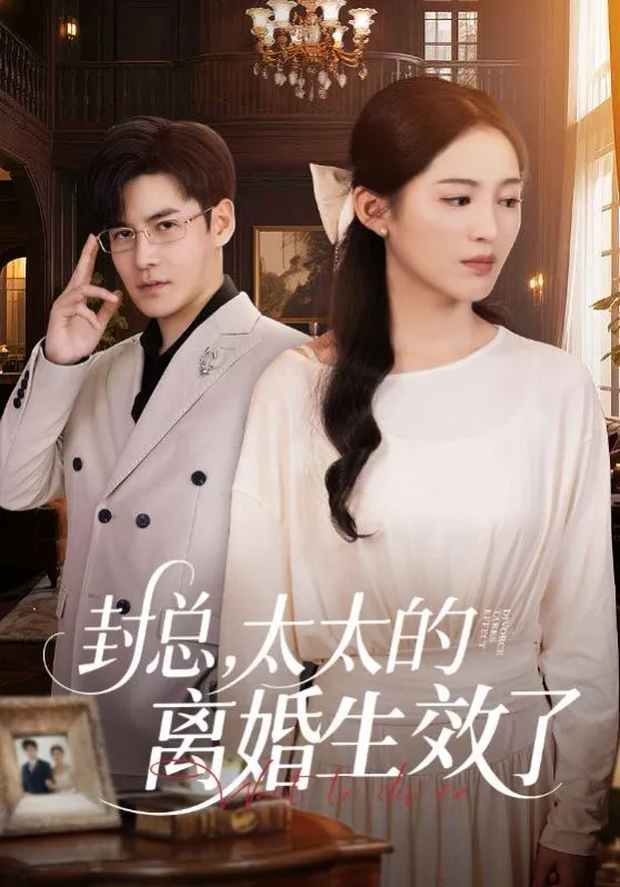 封总太太的离婚生效了海报