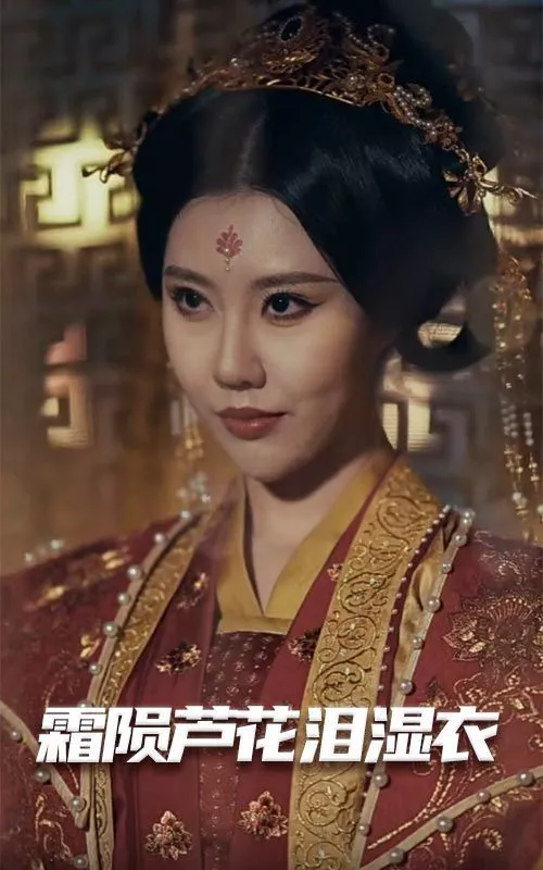 母剑照霜白（霜陨芦花泪湿衣海报
