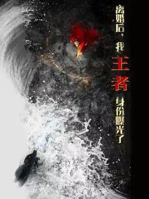 离婚后，我王者身份曝光了（离婚后我王者身份曝光了海报