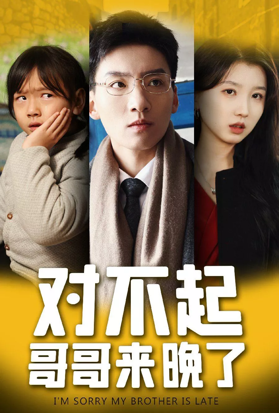 对不起哥哥来晚了海报