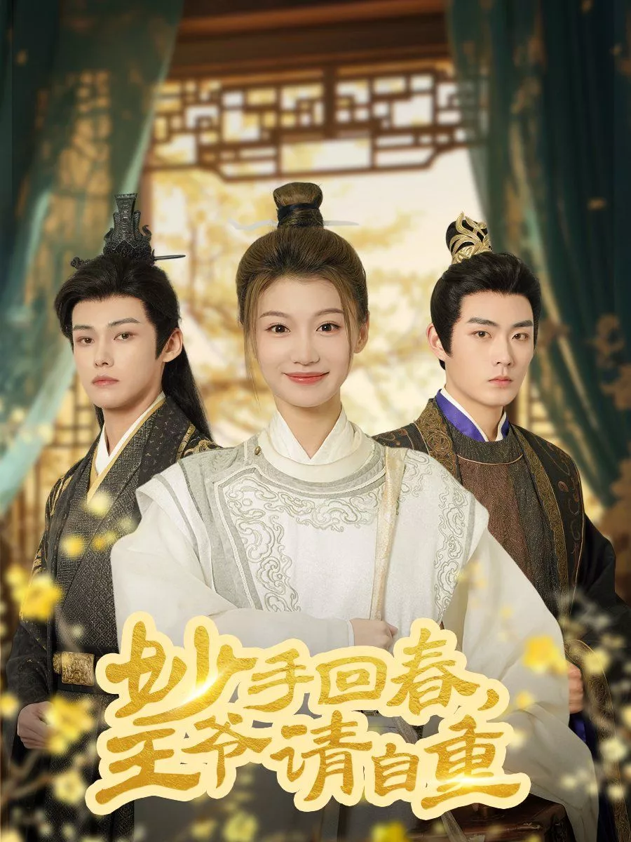 妙手回春王爷请自重（杏林误入凤雀台海报