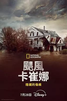 飓风卡崔娜隐藏的伤痕海报