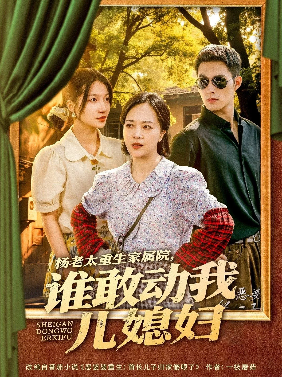 杨老太重生家属院谁敢动我儿媳妇海报