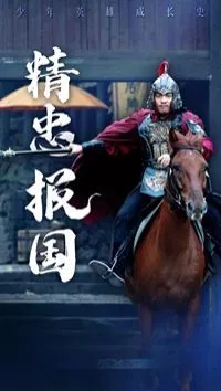 新精忠报国海报