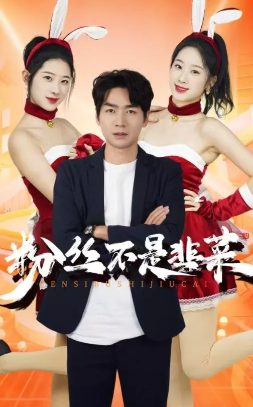 粉丝不是韭菜（一战成名海报