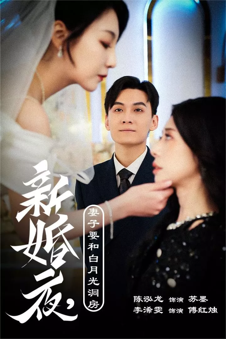 新婚夜，妻子要和白月光洞房（礼尚往来海报