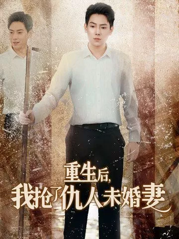 重生后我抢了仇人未婚妻（从废少到绝世枭龙海报