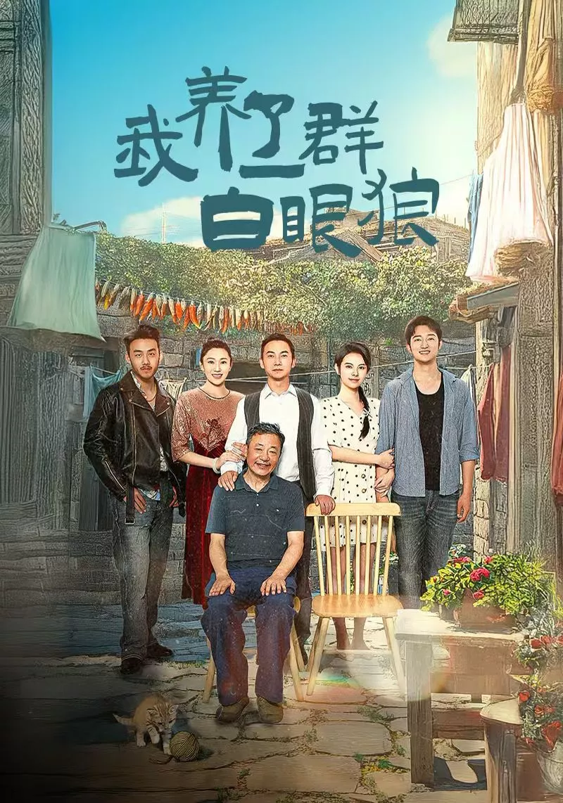 我养了一群白眼狼（家家有本难念的经海报