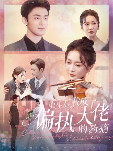 重生后我成了偏执大佬的药瘾海报