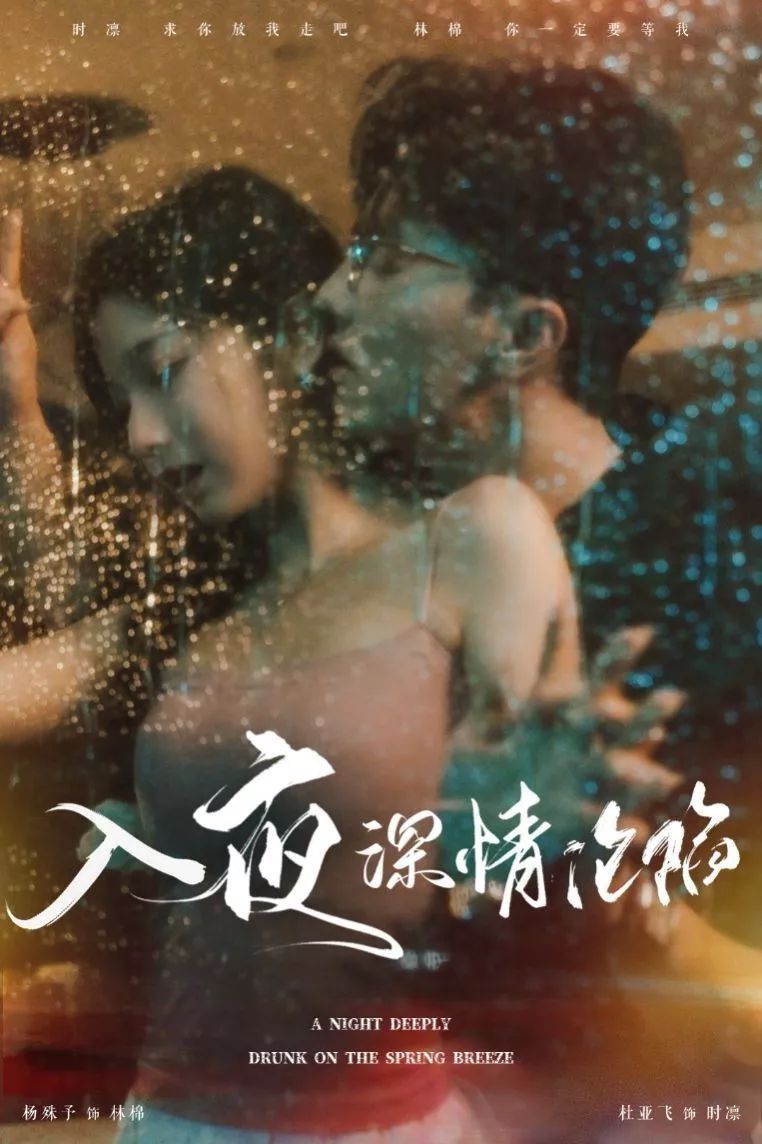 入夜深情沦陷（小夫人落泪时医生宠疯了海报