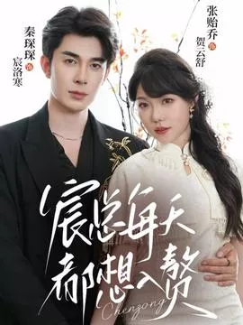 宸总每天都想入赘海报