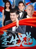 孪生兄弟海报