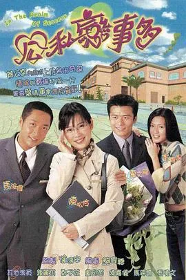 公私恋事多海报