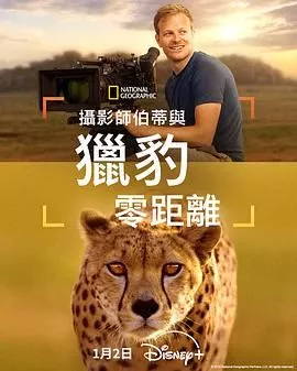 摄影师贝尔蒂与猎豹零距离海报