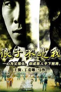 浪子不是我海报
