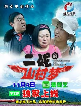 二妮的山村梦2017海报