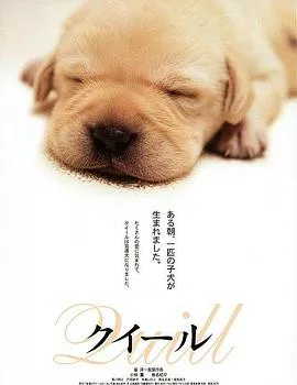 导盲犬小Q【影视解说海报