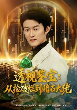 透视鉴宝从捡破烂到赌石大佬海报