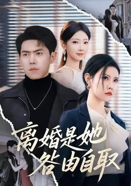 离婚是她咎由自取海报