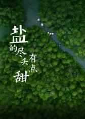 盐的尽头有点甜海报