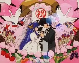 乱马1/2OVA珊璞暴变—反转宝珠之祸海报
