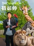 摄影师2026海报
