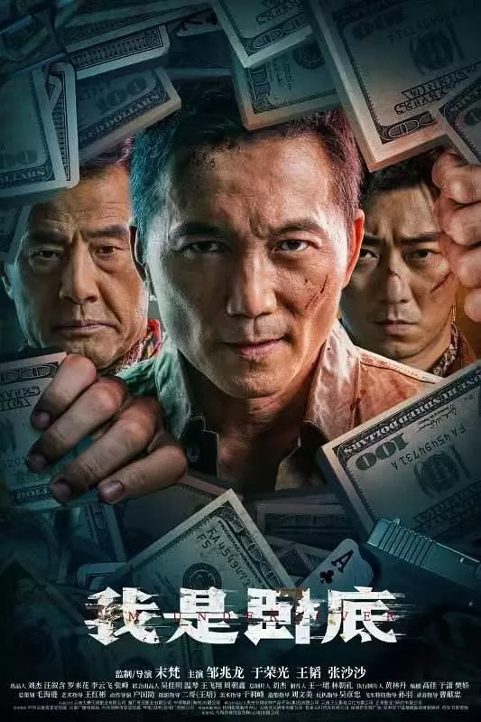 我是卧底(电影版海报