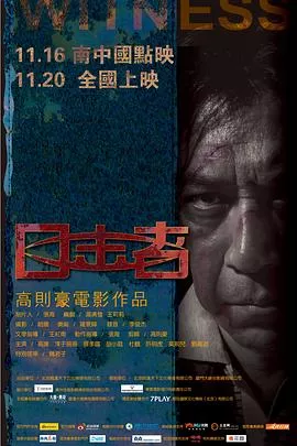 目击者2012海报