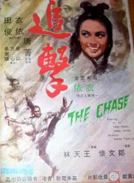 追击1971海报