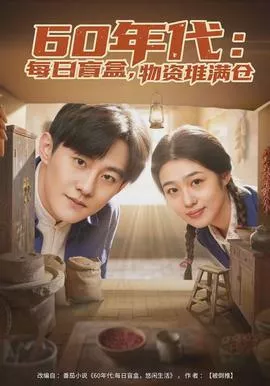年代每日盲盒，物资堆满仓海报
