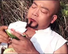 长城大侠海报