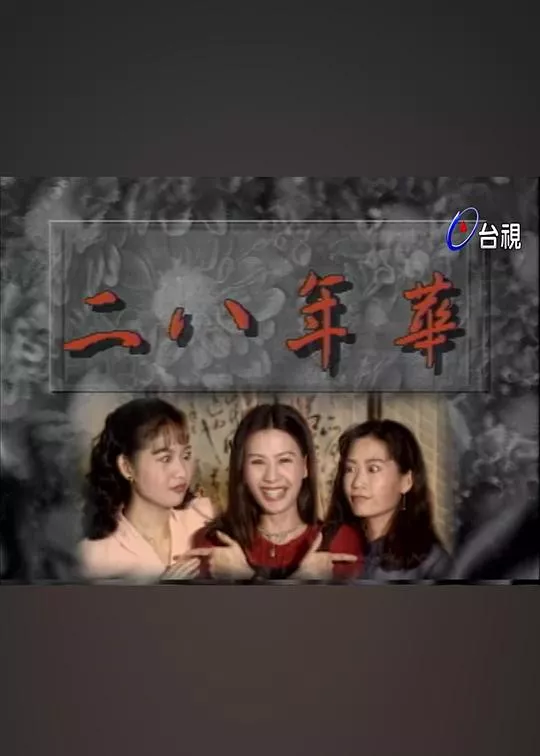 二八年华海报