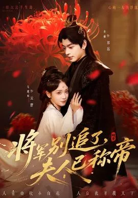 将军别追了，夫人已称帝海报