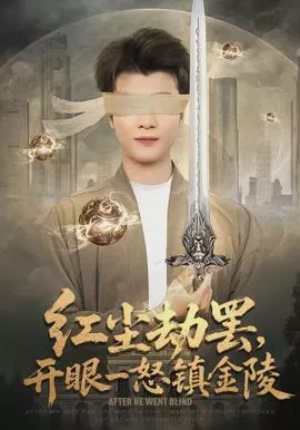 红尘劫罢，开眼一怒镇金陵海报