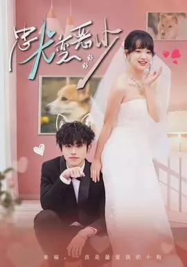 忠犬变恶少海报