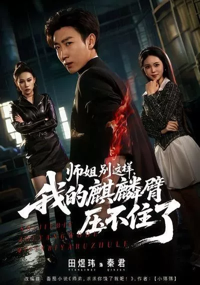 师姐别这样，我的麒麟臂压不住了海报