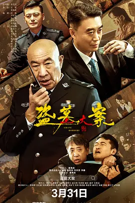 盗墓大案追捕行动海报