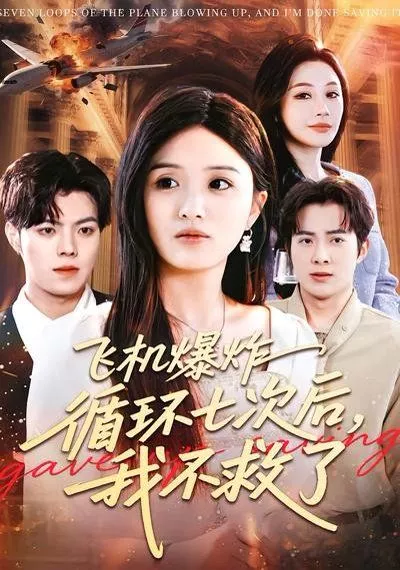 飞机爆炸循环七次后，我不救了海报