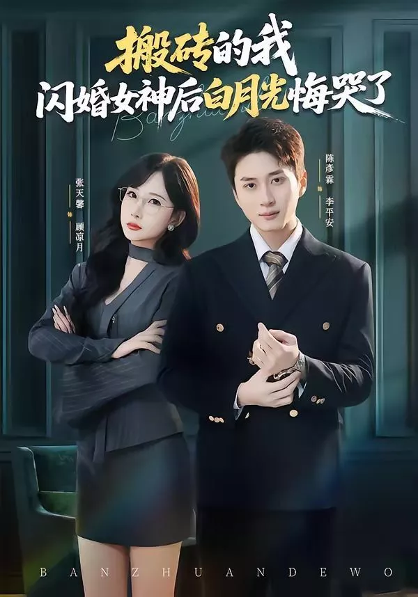 搬砖的我，闪婚女神后白月光悔哭了海报